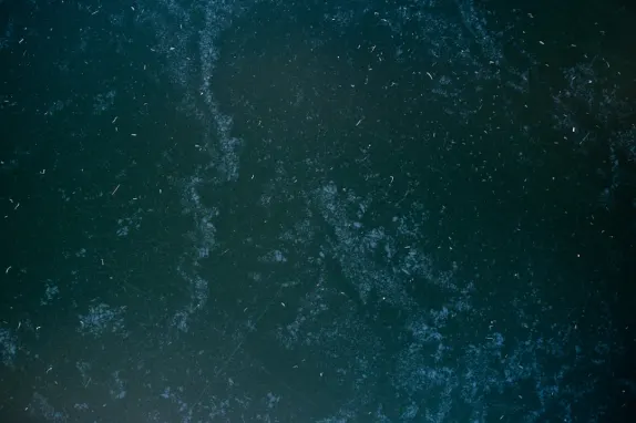 Tournaverse Casino Kundeservice